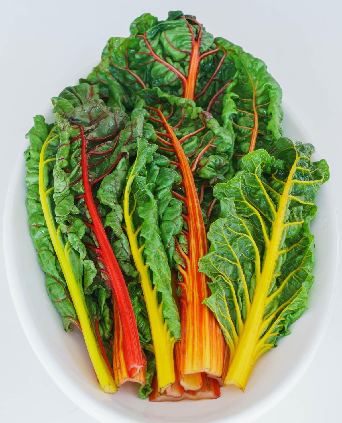 A plate of rainbow chard