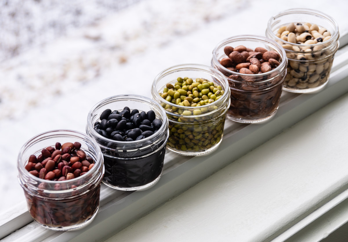 Seeds and beans for microgreens