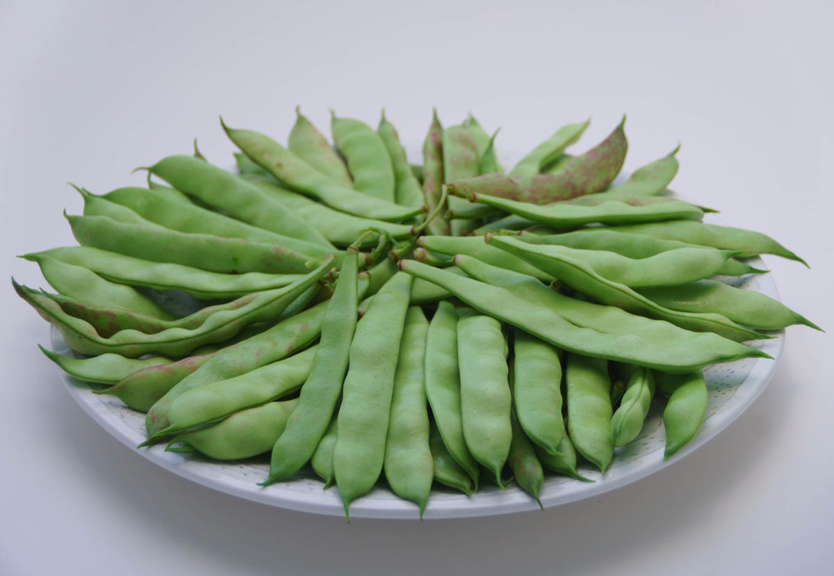 A plateful of Borlotto bush bean