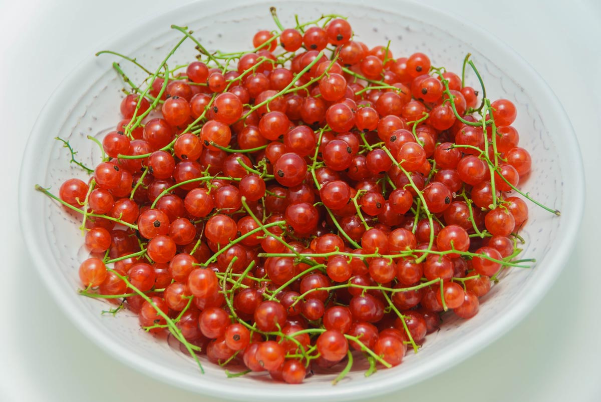 Fruits and Berries